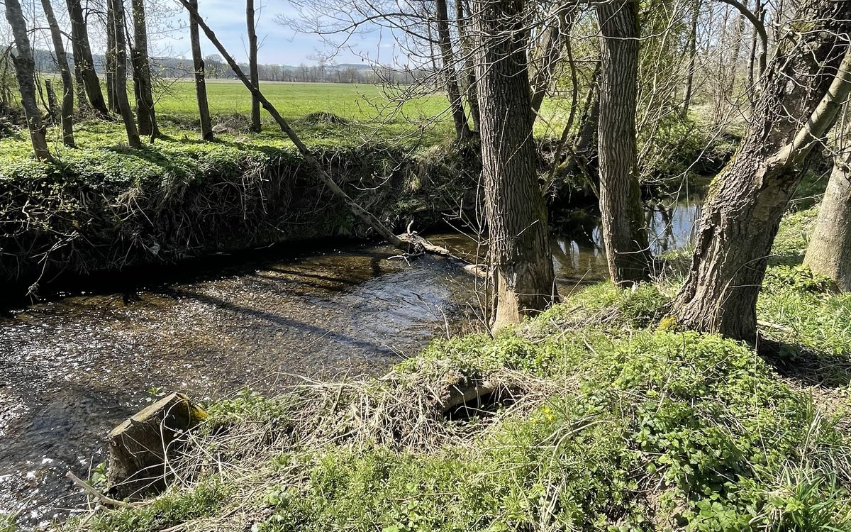 Goldach bei Schwindegg – Fischwasser des Anglerbund Bavaria e.V.