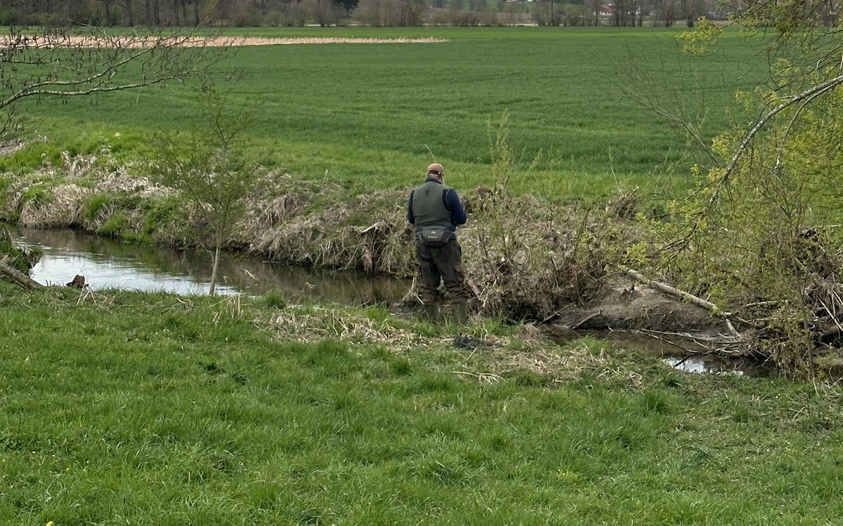 Vils – Babing bei Oberbabing – Fischwasser des Anglerbund Bavaria e.V.