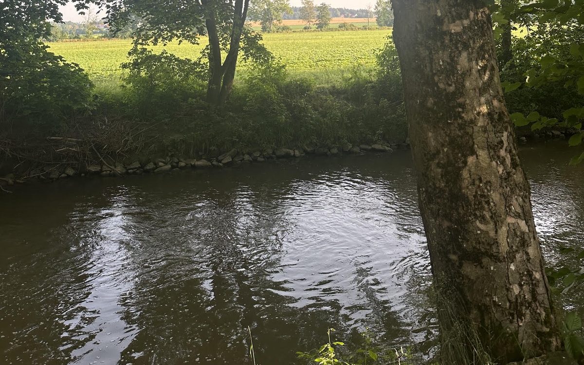 Vils – Fischerhütte und Flutkanal bei Velden – Fischwasser des Anglerbund Bavaria e.V.