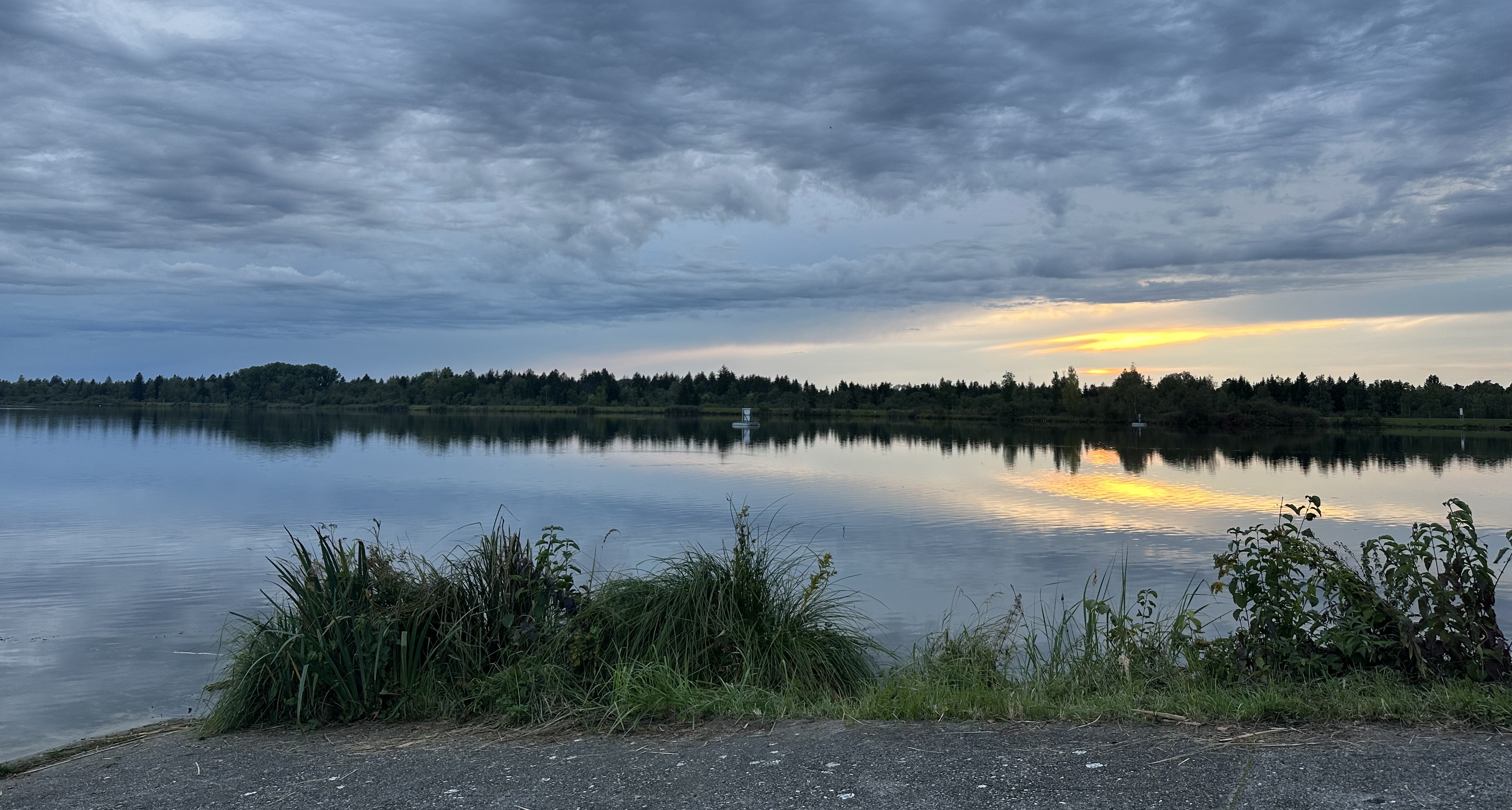 Abendstimmung über einem Vereinsgewässer des Anglerbund Bavaria