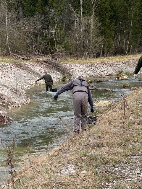 Helfer glätten die neue Kiesfläche im Gerinne