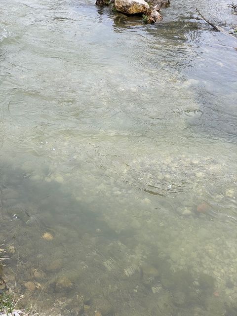 Klares Wasser über dem frisch eingebrachten Kies