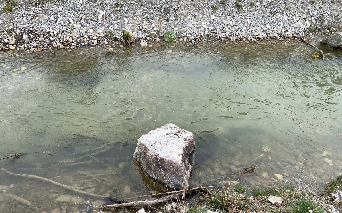 Laichkies für die Fischaufstiegshilfe Scheuring