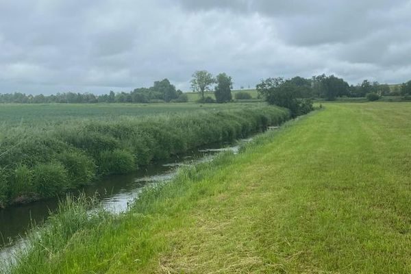 Gewässerbeschattung an der Vils in Babing